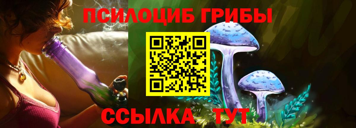 Псилоцибиновые грибы Magic Shrooms Зерноград